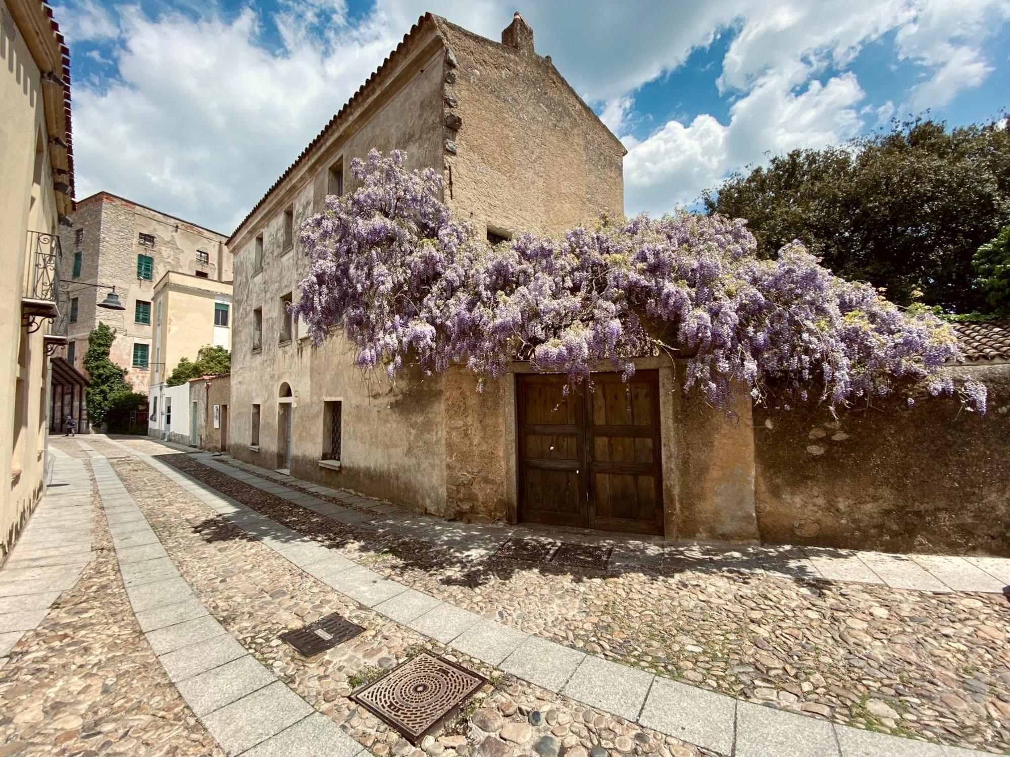 נואורו Carrales Guest House מראה חיצוני תמונה